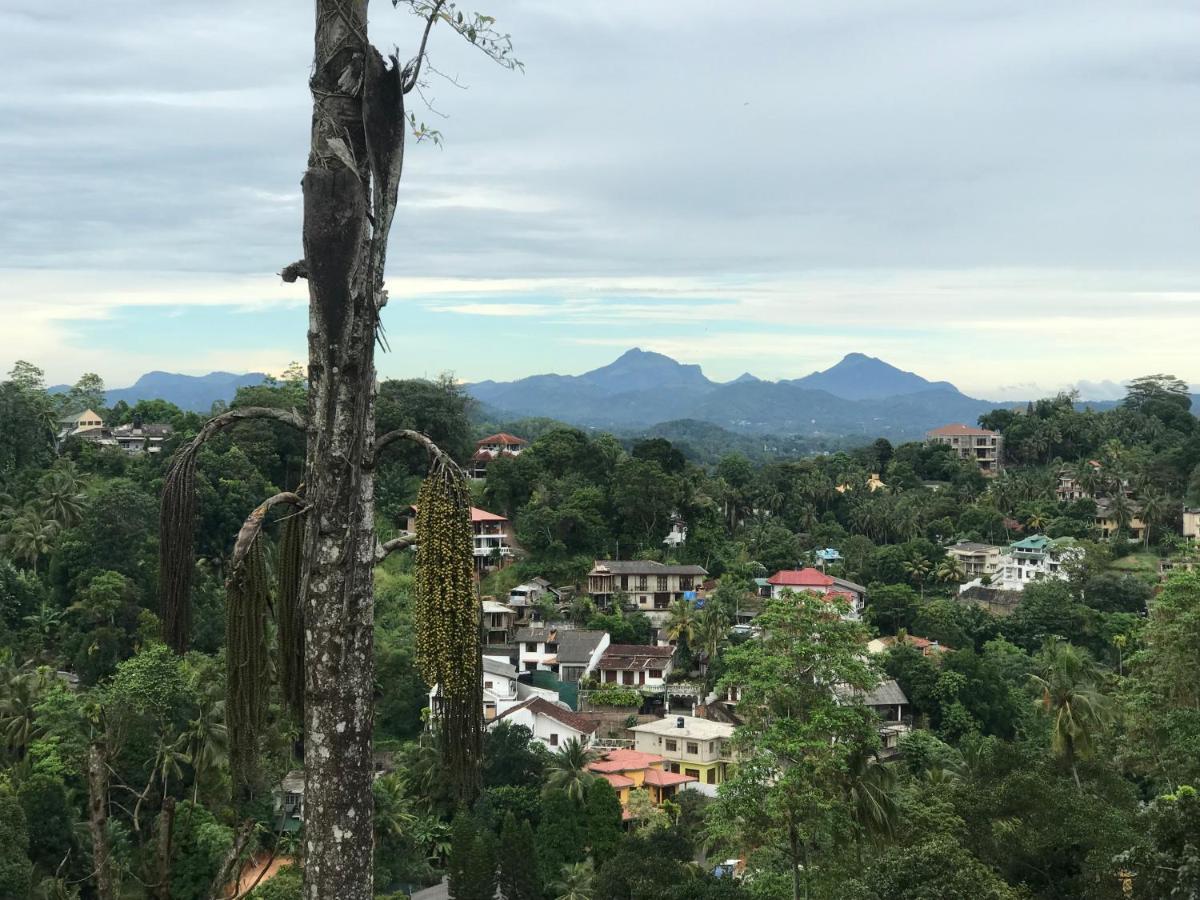 Amigo'S Home Stay Kandy Exterior photo