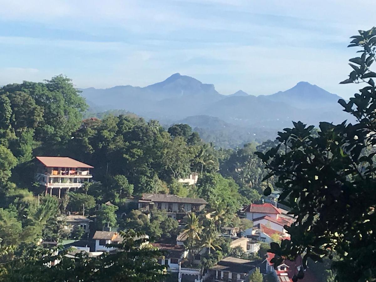 Amigo'S Home Stay Kandy Exterior photo