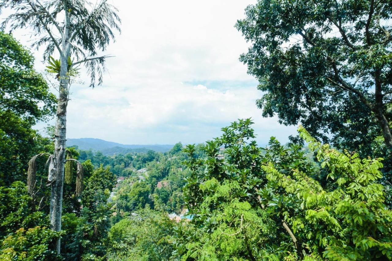 Amigo'S Home Stay Kandy Exterior photo